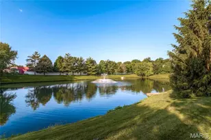 259 Cheval Square Dr, Chesterfield, MO 63005 - Photo 39