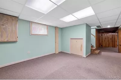7324 Weil Avenue, Saint Louis, MO 63119 - Photo 55