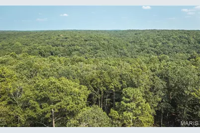 000 County Road 503, Greendale, MO 63951 - Photo 17