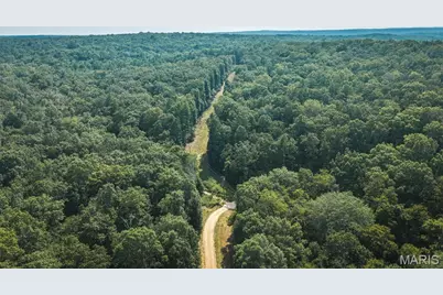 000 County Road 503, Greendale, MO 63951 - Photo 19