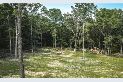 000 County Road 503, Greendale, MO 63951 - Photo 15