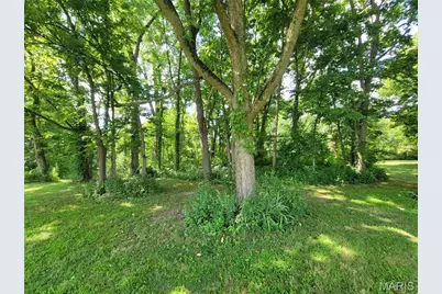 39 Scarlet Oak Court, Troy, MO 63379 - Photo 45
