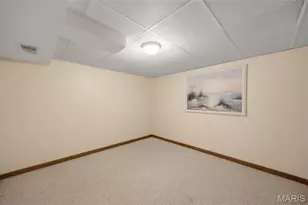 12642 Tall Pine Dr, Saint Genevieve, MO 63670 - Photo 33
