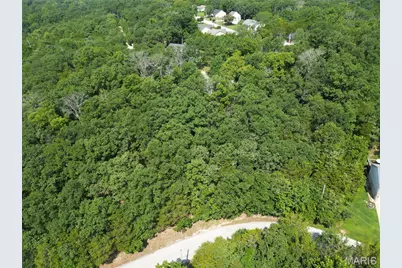 10133 Lake Ridge Drive, Hillsboro, MO 63050 - Photo 1