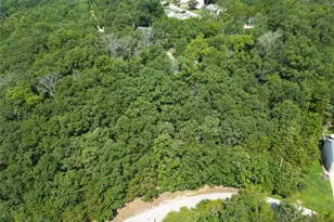 10133 Lake Ridge Dr, Hillsboro, MO 63050 - Photo 1