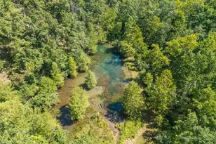 10263 Coldwater Creek Rd, Unincorporated, MO 63645 - Photo 45