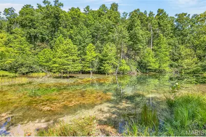 10263 Coldwater Creek Road, Unincorporated, MO 63645 - Photo 15