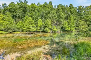10263 Coldwater Creek Rd, Unincorporated, MO 63645 - Photo 15