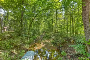 10263 Coldwater Creek Rd, Unincorporated, MO 63645 - Photo 7