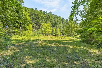 10263 Coldwater Creek Road, Unincorporated, MO 63645 - Photo 13