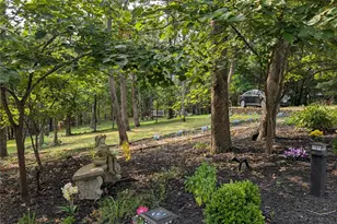 5504 Bon Ron Dr, Hillsboro, MO 63050 - Photo 29