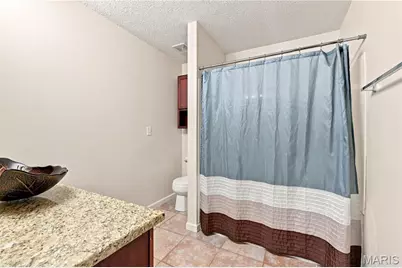 1250 Denali Drive, Festus, MO 63028 - Photo 13