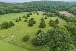 Lot 1 Loughboro Rd Rd, Park Hills, MO 63601 - Photo 31