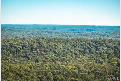 #1 13102 Pelican Ridge Road, Sullivan, MO 63080 - Photo 11