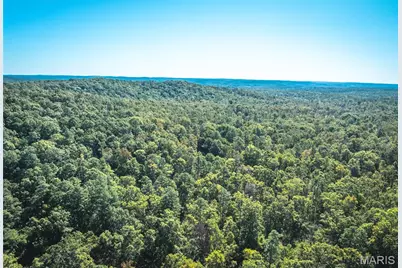 #1 13102 Pelican Ridge Road, Sullivan, MO 63080 - Photo 13