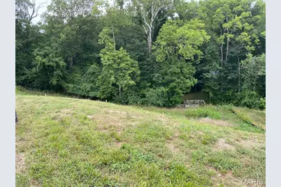 2041 Lily Avenue, Kirkwood, MO 63122 - Photo 7