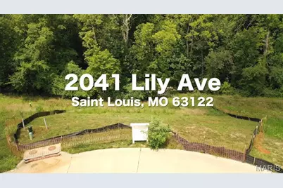 2041 Lily Avenue, Kirkwood, MO 63122 - Photo 9