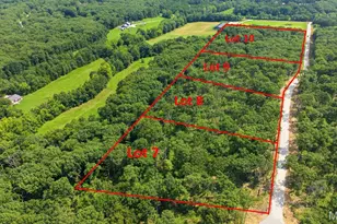 31314 Corri Rd, Wright City, MO 63390 - Photo 1