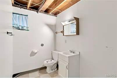 10320 Meath Drive, Saint Louis, MO 63123 - Photo 29