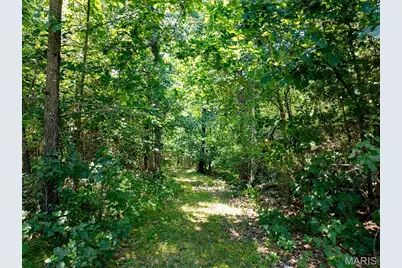 38692 Monroe Road 573, Stoutsville, MO 65283 - Photo 71