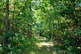 38692 Monroe Road 573, Stoutsville, MO 65283 - Photo 71