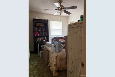 8560 Saffell Road, Bonne Terre, MO 63628 - Photo 29