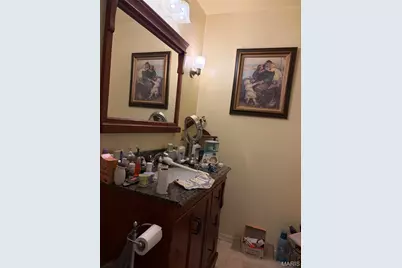 8560 Saffell Road, Bonne Terre, MO 63628 - Photo 27