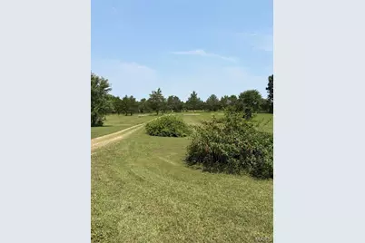 8560 Saffell Road, Bonne Terre, MO 63628 - Photo 3