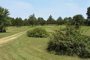 8560 Saffell Rd, Bonne Terre, MO 63628 - Photo 3