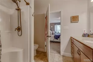 466 Champs Elysees Dr, Bonne Terre, MO 63628 - Photo 21