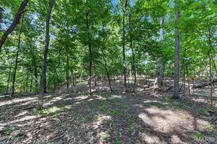 1271 Diehr Road, Unincorporated, MO 63385 - Photo 37