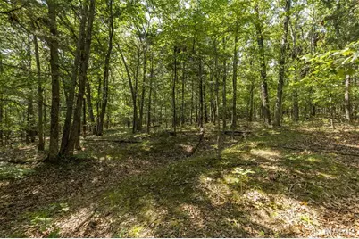 13524 Saddle Creek Road, De Soto, MO 63020 - Photo 19