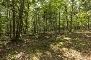 13524 Saddle Creek Rd, De Soto, MO 63020 - Photo 19