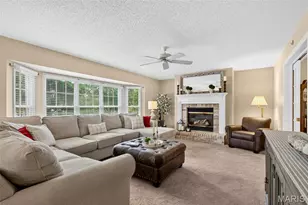 307 Camilla Dr, O'Fallon, MO 63366 - Photo 3