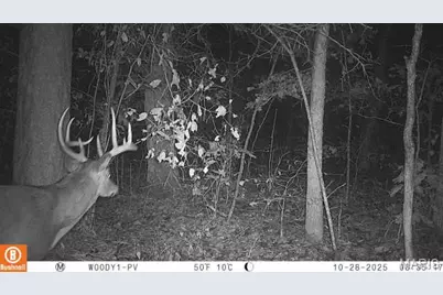 00 Old Jefferson City Road, Potosi, MO 63644 - Photo 11