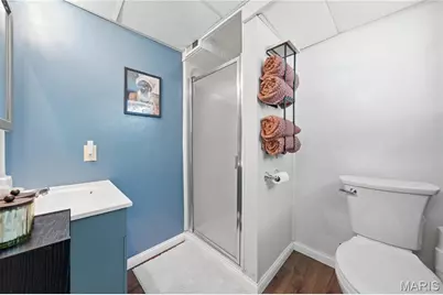 6409 Oleatha Avenue, Saint Louis, MO 63139 - Photo 29