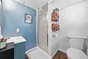 6409 Oleatha Ave, Saint Louis, MO 63139 - Photo 29