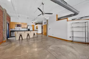 1627 Locust St, Saint Louis, MO 63103 - Photo 9