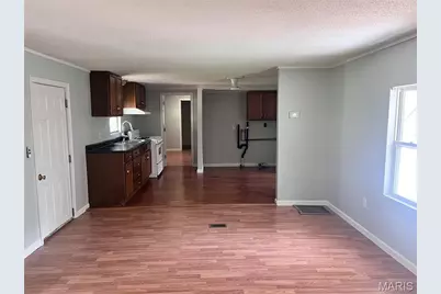 3867 Flucom Road, De Soto, MO 63020 - Photo 9