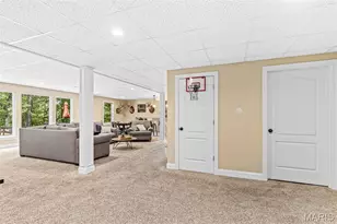 3305 Magnolia Ln, Festus, MO 63028 - Photo 65