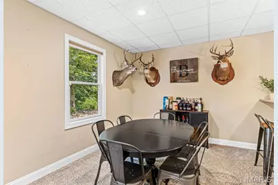 3305 Magnolia Lane, Festus, MO 63028 - Photo 59