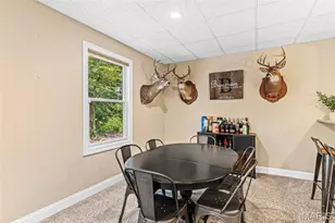 3305 Magnolia Ln, Festus, MO 63028 - Photo 59