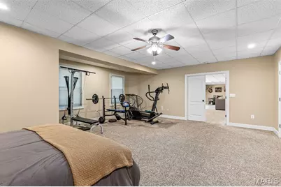 3305 Magnolia Lane, Festus, MO 63028 - Photo 67