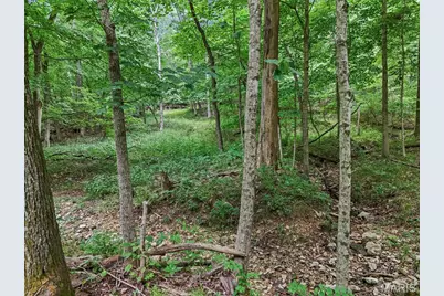 0 Upper Moss Hollow, Barnhart, MO 63012 - Photo 11