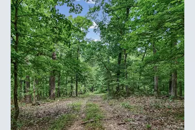 0 Upper Moss Hollow, Barnhart, MO 63012 - Photo 21