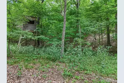 0 Upper Moss Hollow, Barnhart, MO 63012 - Photo 13