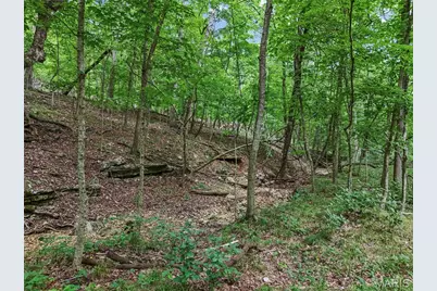 0 Upper Moss Hollow, Barnhart, MO 63012 - Photo 9