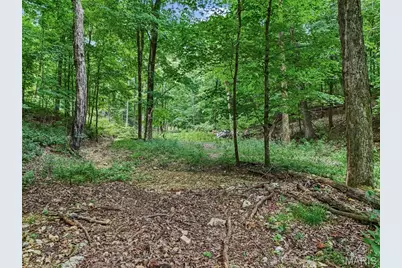 0 Upper Moss Hollow, Barnhart, MO 63012 - Photo 17