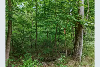 0 Upper Moss Hollow, Barnhart, MO 63012 - Photo 7