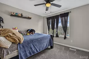 107 Ezekiel Ct, Hillsboro, MO 63050 - Photo 29